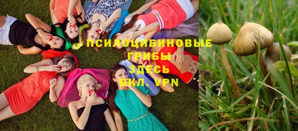 кокс Алексин