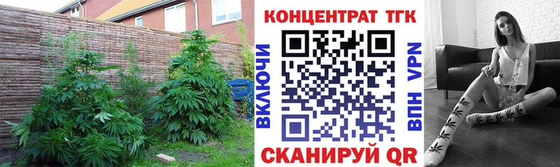 ТГК вейп с тгк  где продают   Новокубанск 