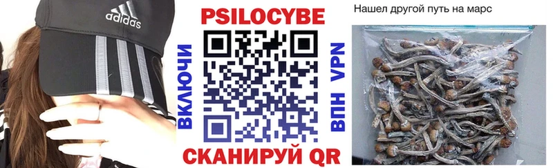 Галлюциногенные грибы MAGIC MUSHROOMS  Новокубанск 